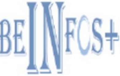 Coordination et Supervision des activités du groupe BeINfos+